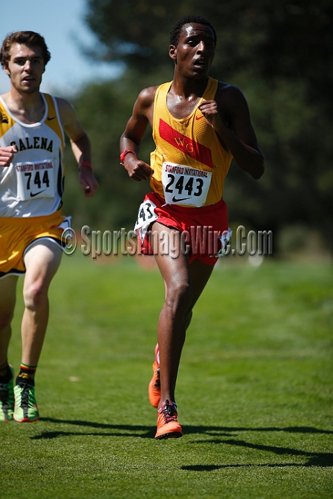 2014StanfordD2Boys-170.JPG - D2 boys race at the Stanford Invitational, September 27, Stanford Golf Course, Stanford, California.